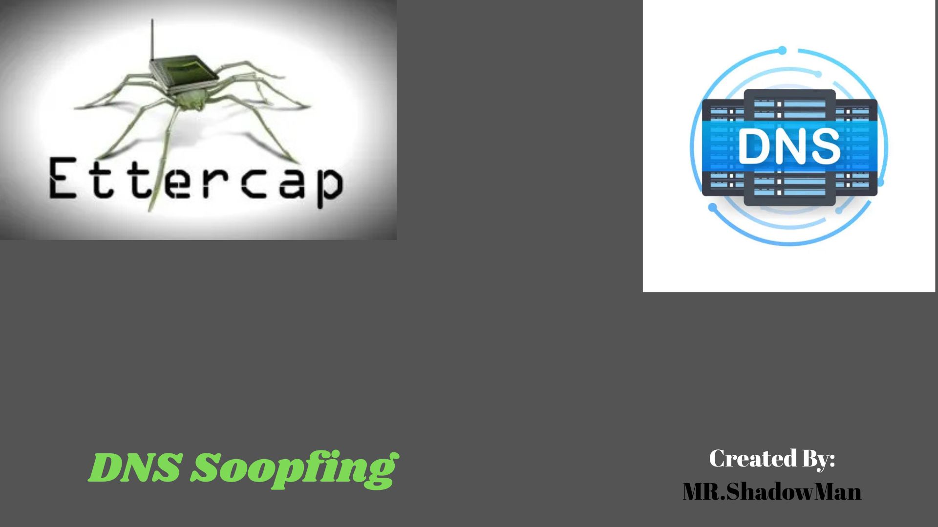 Cover Image of the Post